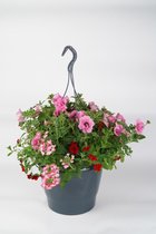 Hangpot Pascalle - met ingebouwd waterreservoir - 45 cm