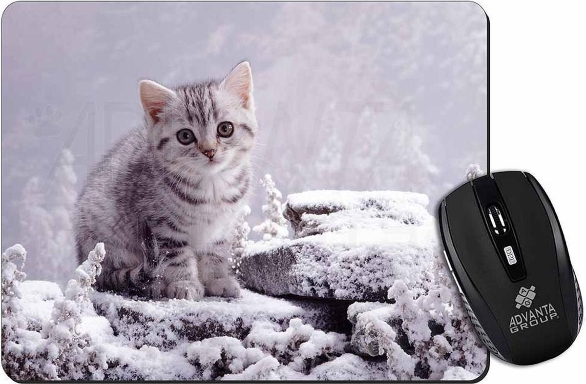 Grijs Kitten in sneeuw Muismat