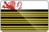 Vlag gemeente Eersel - 150 x 225 cm - Polyester