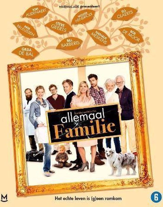 Allemaal Familie (Blu-ray)