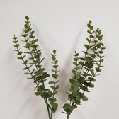 Twee kunsttakken eucalyptus 70 cm