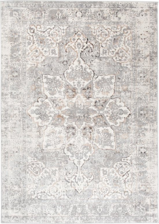 Tapiso Valley Tapis Salon Chambre Gris Clair Cadre Design Moderne Fleurs Durable Vintage Haute Qualité Tapis Taille - 200x300