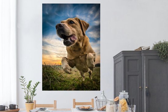 Ciel coloré au dessus de ce Poster Labrador Retriever 120x180 cm - Tirage photo sur Poster (décoration murale salon / chambre) / Poster Animaux domestiques XXL / Groot format!