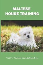 Maltese House Training: Tips For Training Your Maltese Dog