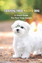 Training Your Maltese Dog: A Quick Guide For First-Time Owners