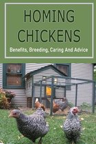 Homing Chickens: Benefits, Breeding, Caring And Advice