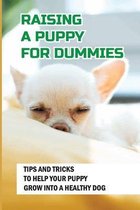 Raising A Puppy For Dummies: Tips And Tricks To Help Your Puppy Grow Into A Healthy Dog