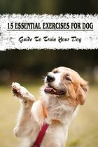 15 Essential Exercises For Dog: Guide To Train Your Dog