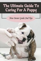 The Ultimate Guide To Caring For A Puppy: New Owner Guide And Tips