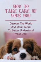 How To Take Care Of Your Dog: Discover The World Of A Dog's Senses To Better Understand Your Dog