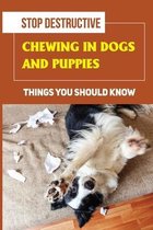Stop Destructive Chewing In Dogs And Puppies: Things You Should Know