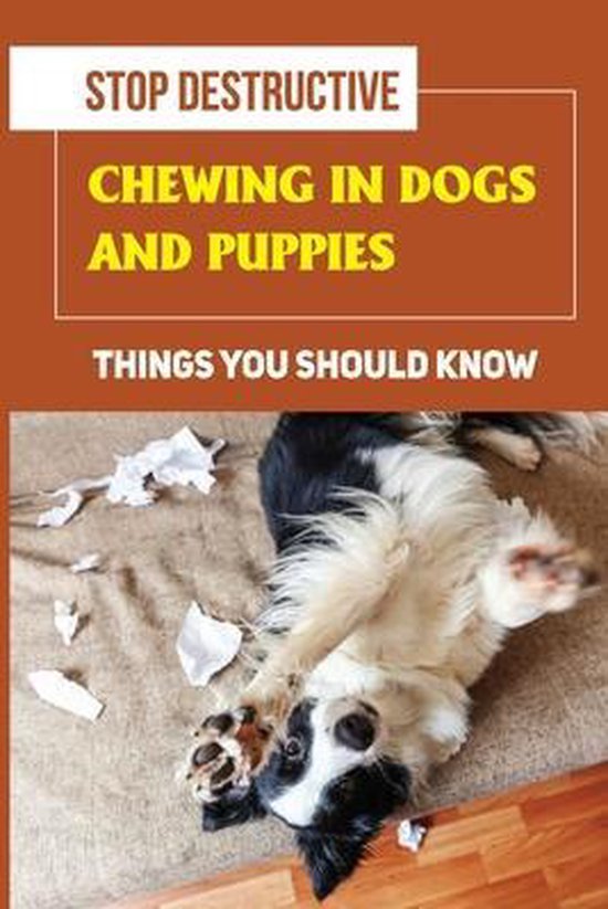 Stop Destructive Chewing In Dogs And Puppies Things You Should Know