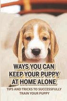 Ways You Can Keep Your Puppy At Home Alone: Tips And Tricks To Successfully Train Your Puppy
