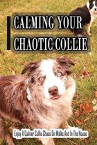 Calming Your Chaotic Collie: Enjoy A Calmer Collie Chaos On Walks And In The House