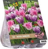 Plantenwinkel Urban Flowers Royal ribbons bloembollen per 10 stuks