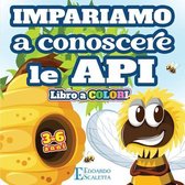 Impariamo a Conoscere le API - Libro a COLORI