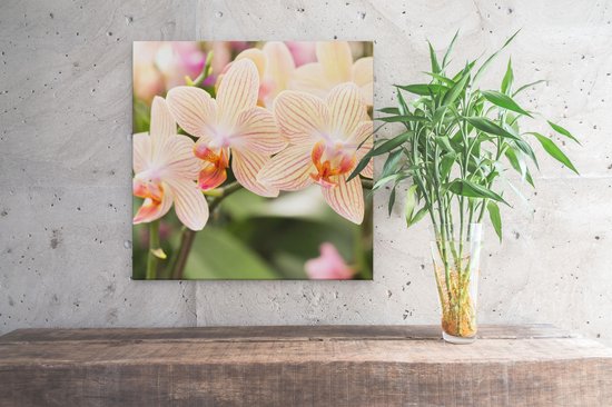 Artaza - Peinture sur Toile - Fleurs d'Orchidées Witte Rayées - 40x40 - Klein - Photo sur Toile - Impression sur Toile