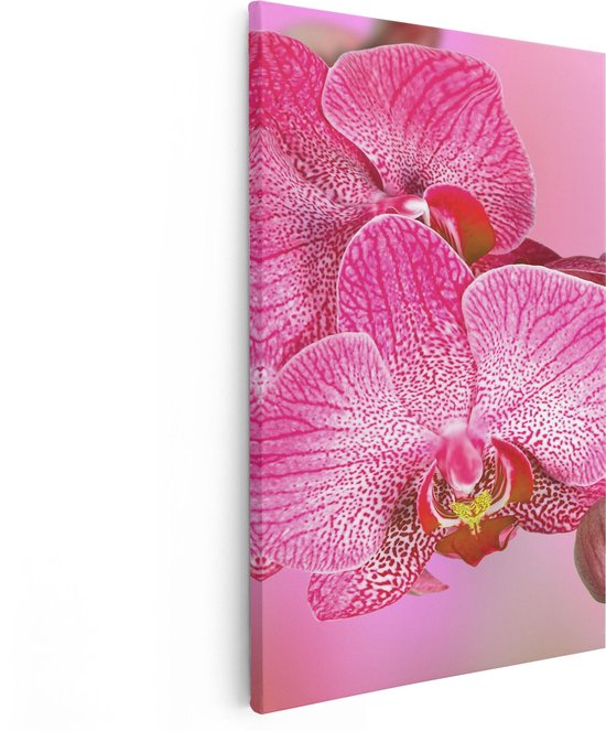 Artaza Canvas Schilderij Roze Orchidee Bloemen - 80x120 - Groot - Foto Op Canvas - Canvas Print