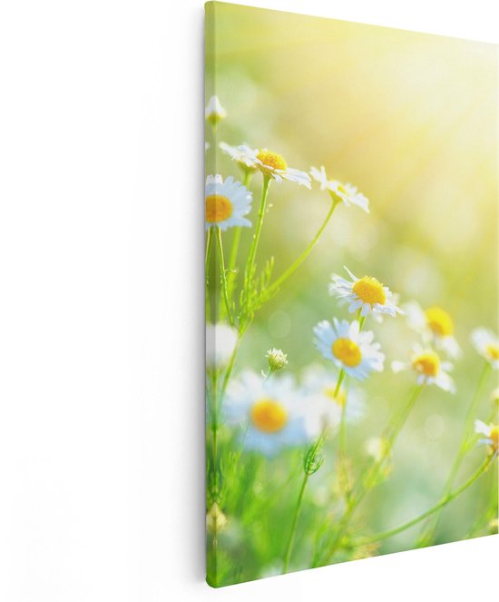Artaza Canvas Schilderij Witte Kamille Bloemen Met Zonneschijn - 80x120 - Groot - Foto Op Canvas - Canvas Print