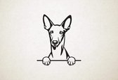 Faraohond - Pharaoh Hound - hond met pootjes - S - 52x44cm - Zwart - wanddecoratie