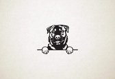 Rotweiler - hond met pootjes - M - 46x63cm - Zwart - wanddecoratie
