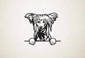 Chinese gekuifde naakthond - Chinese Crested - hond met pootjes - M - 60x67cm - Zwart - wanddecoratie