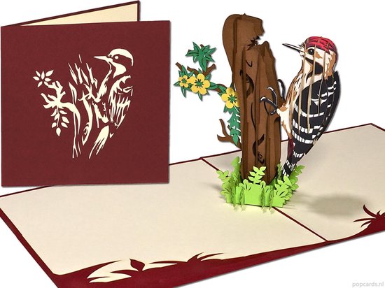 Popcards popupkaarten – Verjaardagskaart Vogel Bonte Specht Vrijheid Felicitatie Verjaardag Verhuiskaart Woodpecker pop-up kaart 3D wenskaart