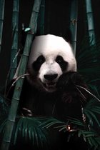 Jungle Panda op Textiel in Frame - WallCatcher | 100 x 150 cm | Breed zwart Textielframe 27 mm | Jungle Reuzenpanda op peesdoek