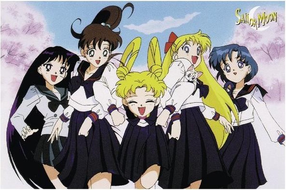Sailor Moon Group - Maxi PosterXL - 70x102cm