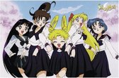 Poster - Sailor Moon Group - 70 X 102 Cm - Multicolor