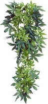 Ferplast Abutilon Plant met zuignappen - 45cm