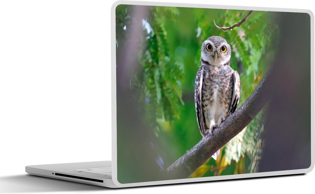 Laptop sticker - 13.3 inch - Uil zittend op tak - 31x22,5cm - Laptopstickers - Laptop skin - Cover