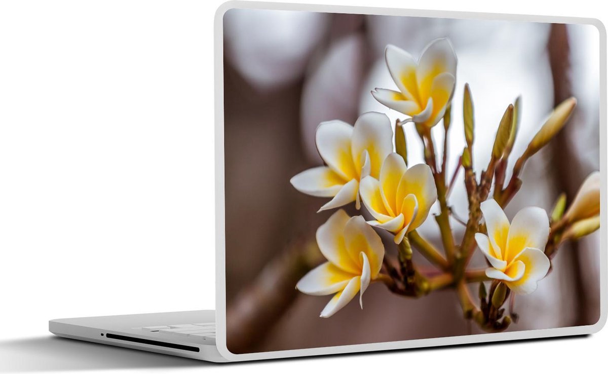 Afbeelding van product SleevesAndCases  Laptop sticker - 10.1 inch - De tropische plumeria bloem