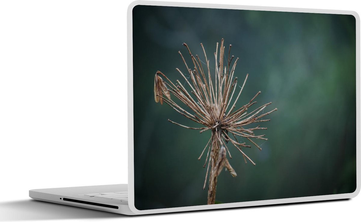 Afbeelding van product SleevesAndCases  Laptop sticker - 13.3 inch - Droge bloem fotoprint