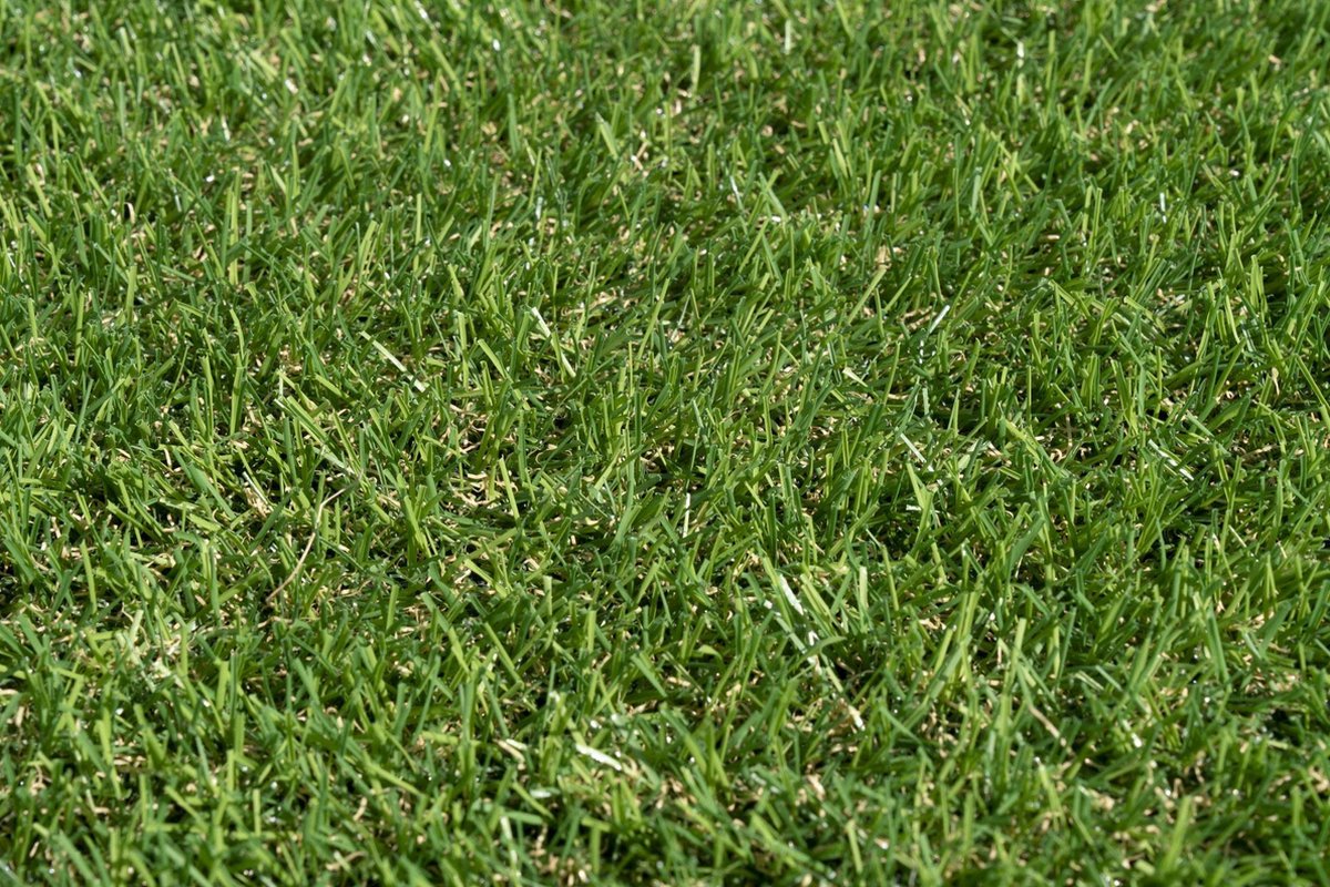 Kunstgras 2 x 19 meter - 20mm ✅ Nederlandse Productie - Uitgeroepen zachtste Grastapijt ✅ Waterdoorlatend | Tuin | Kind | Dier
