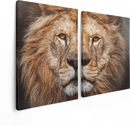 Artaza Canvas Schilderij Tweeluik Leeuw - Leeuwenkop - Kleur - 120x80 - Foto Op Canvas - Canvas Print