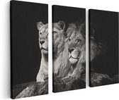 Artaza - Triptyque de peinture sur toile - Lion et lionne - Zwart Wit - 120x80 - Photo sur toile - Impression sur toile