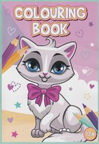 Colouring Book - Kleurboek - Huisdieren - Poezen - Katten  - 72 Pagina's