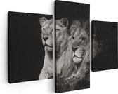 Artaza - Triptyque de peinture sur toile - Lion et lionne - Zwart Wit - 90x60 - Photo sur toile - Impression sur toile
