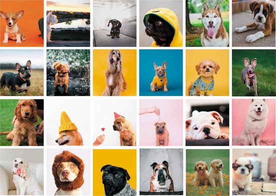 Afbeelding van het spel Cadeautip! Honden memory - Honden - Memory spel - 70 stuks