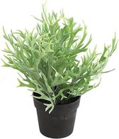 Kunstplant in Pot Platycerium | Groen | 20 x 20 x 24 cm