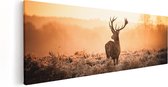 Artaza Canvas Schilderij Hert In De Wei Tijdens De Zonsopkomst - 60x20 - Foto Op Canvas - Canvas Print