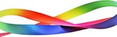Satijn Lint 10mm (1cm) | Satijnlint | Regenboog Lint | Luxe Dubbelzijdige Kwaliteit | Cadeau Lint | Danslint | Rainbow Pride | Rol: 10 Meter