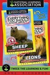 Everything You Should Know About