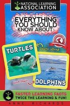 Everything You Should Know About