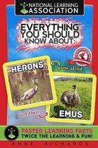 Everything You Should Know About