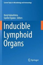 Inducible Lymphoid Organs