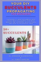 Your DIY Succulents Propagating for Beginners