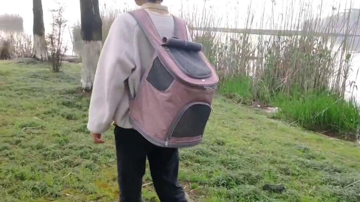 Bobby Multi Bag - Cat and Small Dog Carrier 40 x 20 x 30 cm, Dog Carrier Bag, Cats with Transport Shoulder Strap, Pet Backpack, Mole, Max 6 kg