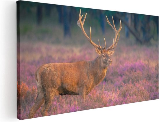 Artaza - Peinture sur toile - Cerf dans la prairie au coucher du soleil - 40 x 20 - Klein - Photo sur toile - Impression sur toile